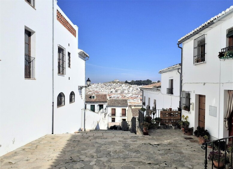 Picture 2 for Activity Málaga: Antequera Guided Walking Tour