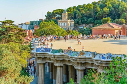 Barcelona: Park Güell Entry Ticket and Guided Tour