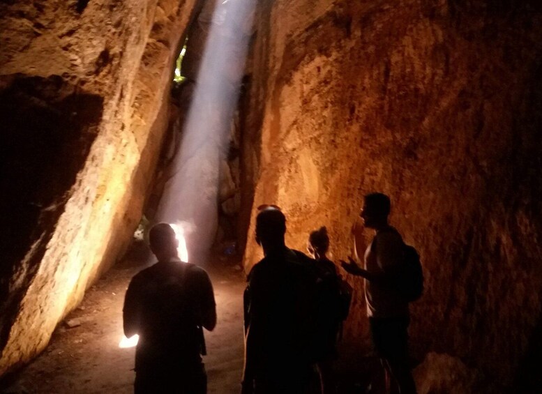 Picture 1 for Activity Tijuca Forest: Adventure & History Half-Day Hike