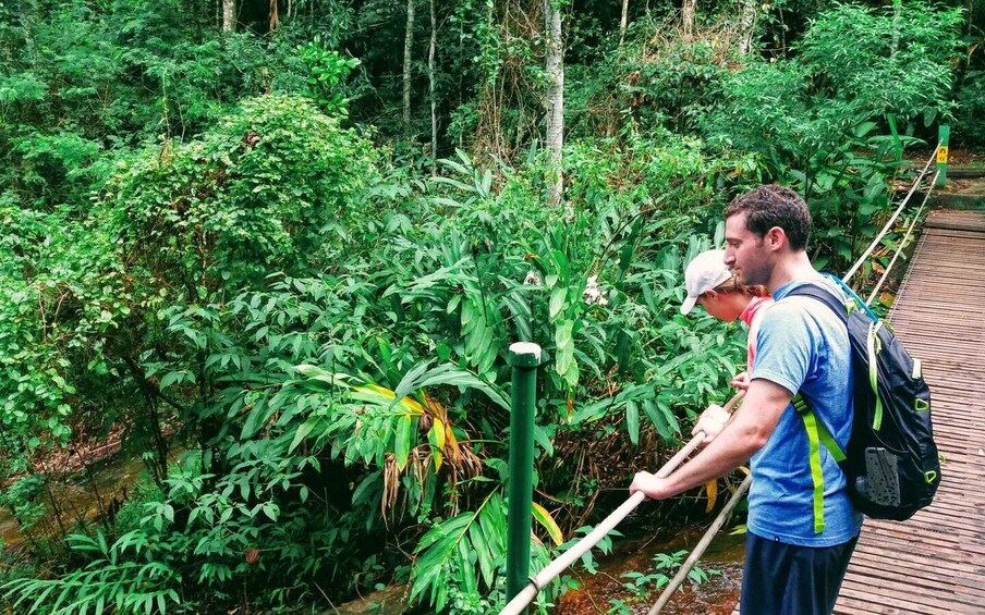 Picture 14 for Activity Tijuca Forest: Adventure & History Half-Day Hike