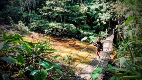 Bosque de Tijuca: caminata de medio día de aventura e historia