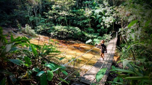 Forêt de Tijuca : Randonnée d'une demi-journée pour l'aventure et l'histoir...