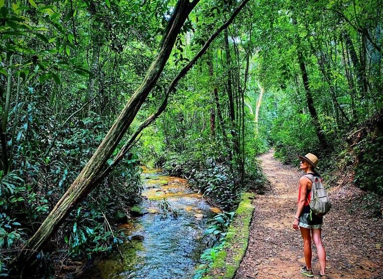 Picture 2 for Activity Tijuca Forest: Adventure & History Half-Day Hike