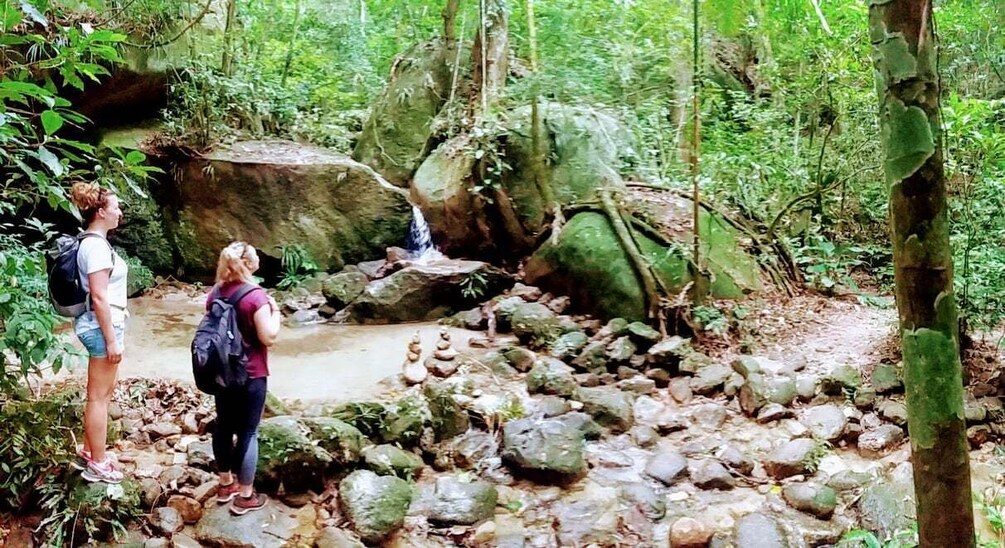 Picture 10 for Activity Tijuca Forest: Adventure & History Half-Day Hike