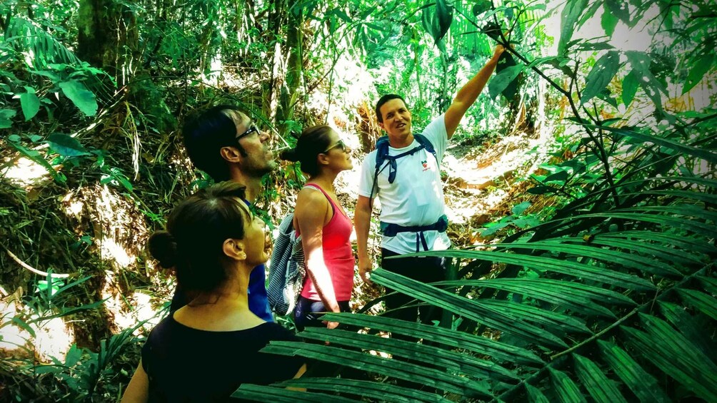 Picture 7 for Activity Tijuca Forest: Adventure & History Half-Day Hike