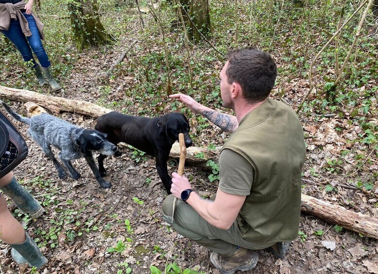 Picture 2 for Activity Livade: Guided Truffle Hunting Walking Tour