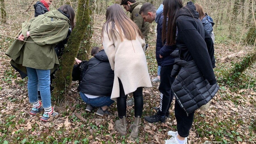 Livade: Guided Truffle Hunting Walking Tour