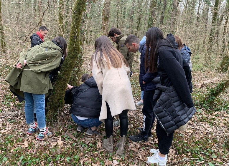 Livade: Guided Truffle Hunting Walking Tour