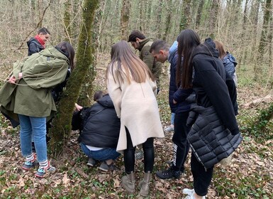 Livade: Guided Truffle Hunting Walking Tour