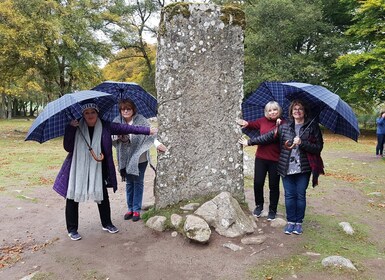 Invergordon: excursión por la costa sur