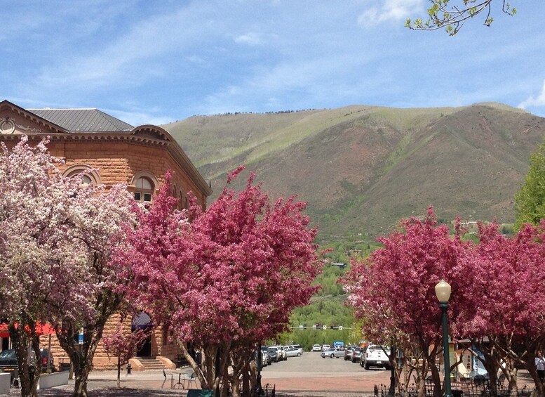 Picture 1 for Activity Aspen: From Past to Present History Walking Tour