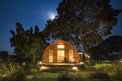 Yala National Park: 3-Day Private Luxury Glamping Experience