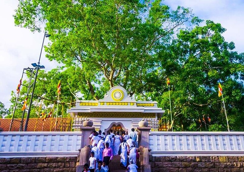 Picture 5 for Activity Anuradhapura: Archaeological Site Guided Tuk-Tuk Tour