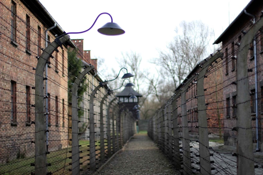 Picture 1 for Activity Wroclaw to Auschwitz-Birkenau Private Full-Day Trip by Car