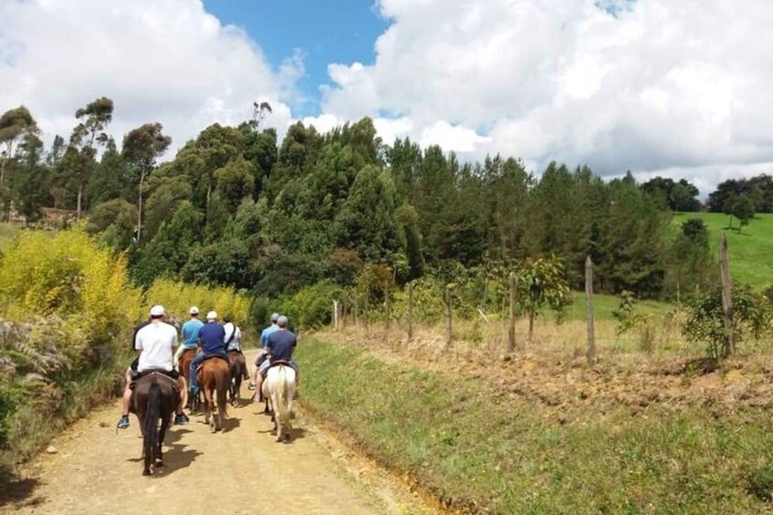 Picture 9 for Activity Guatapé: Horseback Ride & Tour Combo