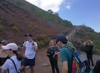 Nápoles: tour a Pompeya, el Monte Vesubio y Herculano