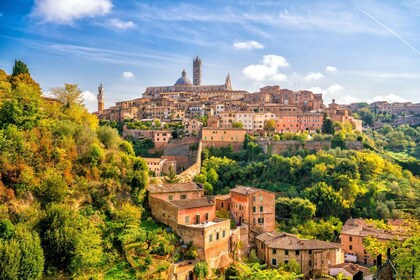 Orvieto: Privater Rundgang mit der Kathedrale von Orvieto