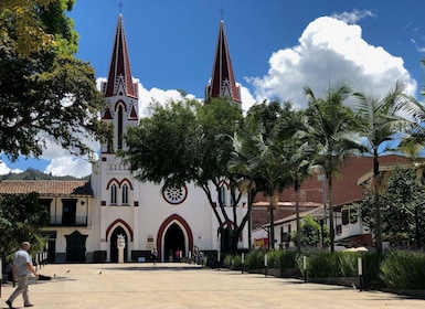 Medellín: Tur Kota Kolonial Pribadi Setengah Hari