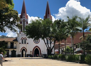 Medellín: Tur Kota Kolonial Pribadi Setengah Hari