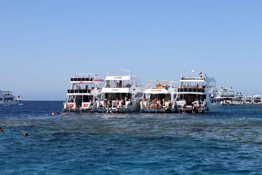 Picture 27 for Activity Sharm El-Sheikh: White Island & Ras Mohamed Cruise