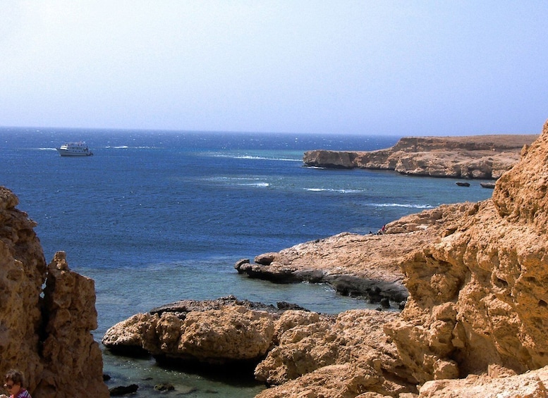 Picture 4 for Activity Sharm El-Sheikh: White Island & Ras Mohammed Snorkel Trip