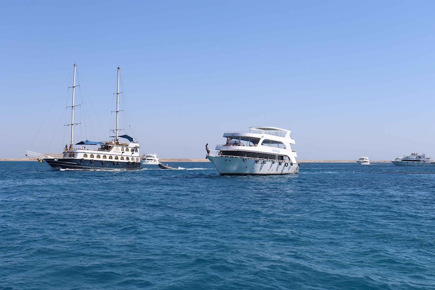 Picture 31 for Activity Sharm El-Sheikh: White Island & Ras Mohamed Cruise