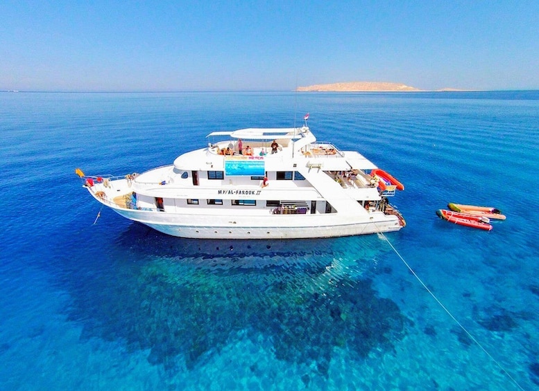 Picture 22 for Activity Sharm El-Sheikh: White Island & Ras Mohamed Cruise