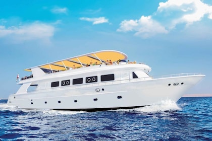 Sharm El-Sheikh: viaje de esnórquel en Ras Mohamed y White Island