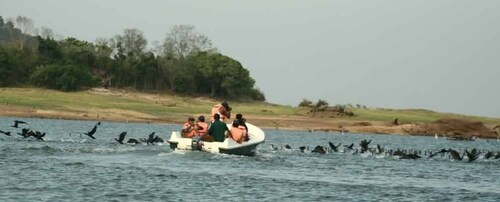 Sri Lanka: Excursión nocturna al Parque Nacional de Gal Oya