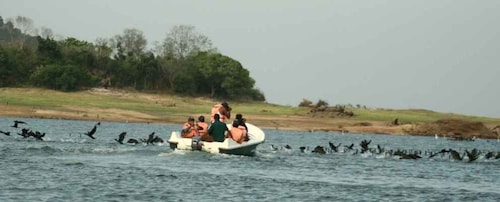 Sri Lanka: Gal Oya Nationaal Park Tour met overnachting