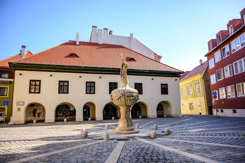 Picture 5 for Activity Sopron: City Highlights Walking Tour