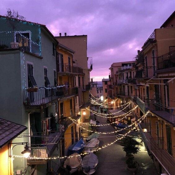 Picture 6 for Activity La Spezia: Cinque Terre Rainbow Village Coastal Road Tour