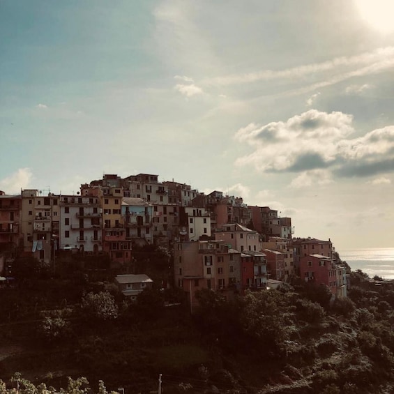 Picture 4 for Activity La Spezia: Cinque Terre Rainbow Village Coastal Road Tour