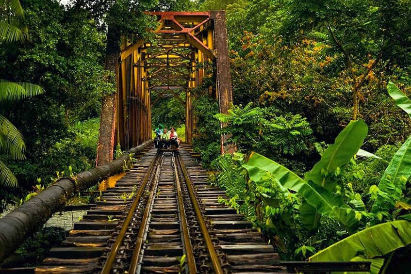 Picture 5 for Activity San Cipriano: San Cipriano Natural Reserve Guided Tour