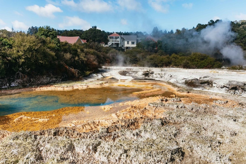 Picture 14 for Activity Whaka Village Guided Tour & Self-Guided Geothermal Trails