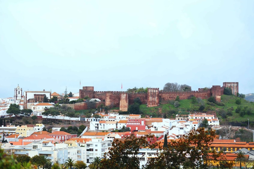 Picture 1 for Activity From Quarteira, Albufeira, or Portimão: Silves & Monchique