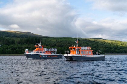 Fort William: Robbenbeobachtungstour auf dem Loch Linnhe