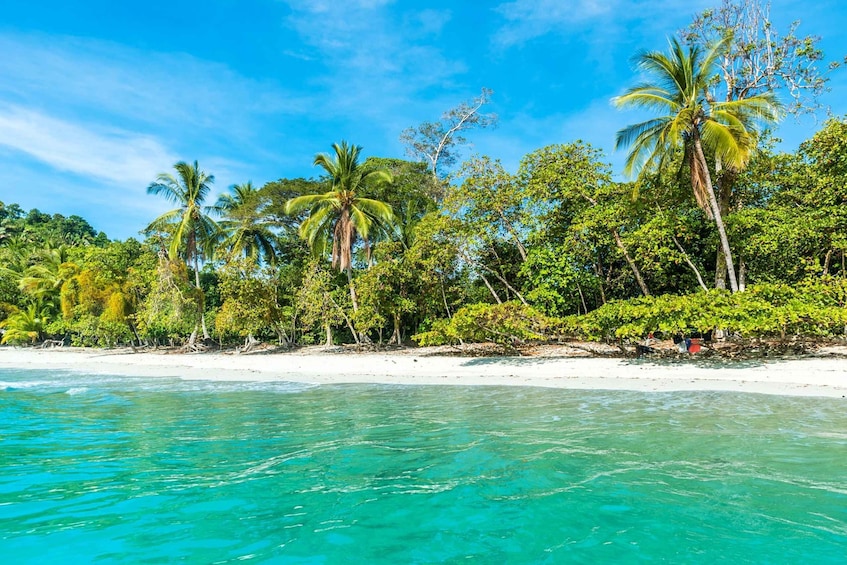 Picture 3 for Activity San Jose Costa Rica: Manuel Antonio National Park Tour