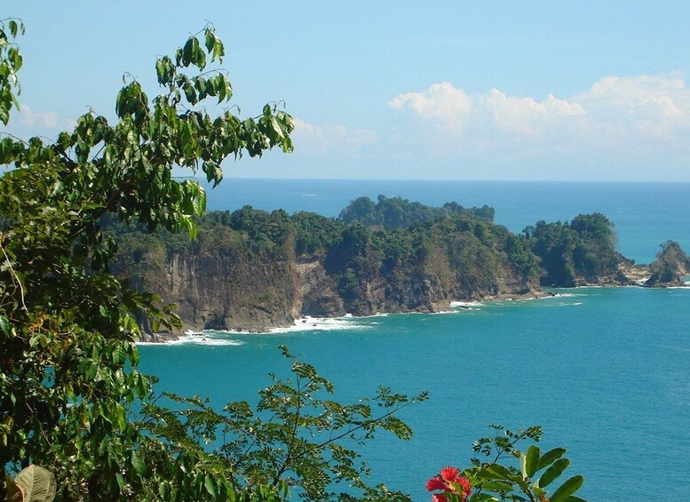 Picture 4 for Activity San Jose Costa Rica: Manuel Antonio National Park Tour