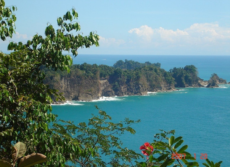 Picture 4 for Activity San Jose Costa Rica: Manuel Antonio National Park Tour