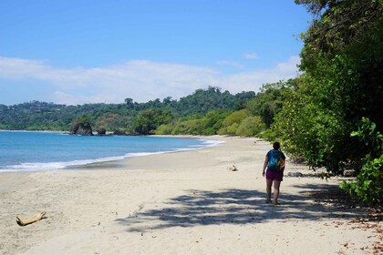 San Jose Kosta Rika: Tur Taman Nasional Manuel Antonio