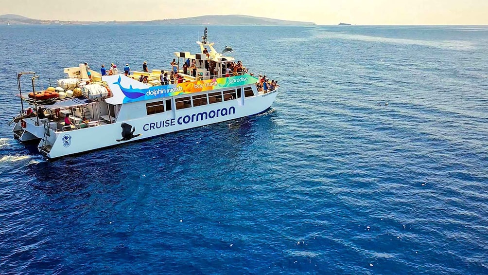 Picture 16 for Activity Mallorca: Dolphin Watching Cruise