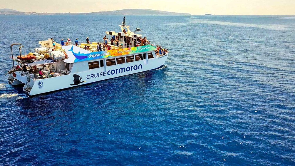 Picture 16 for Activity Mallorca: Dolphin Watching Cruise