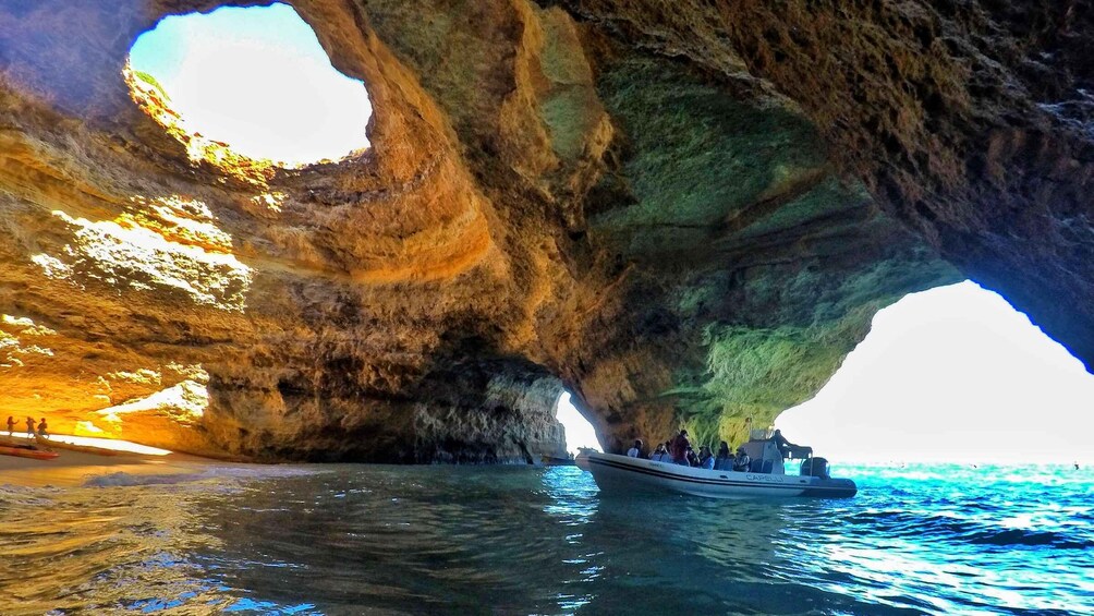 Picture 9 for Activity Albufeira: Benagil Cave and Dolphin Sightseeing Boat Cruise