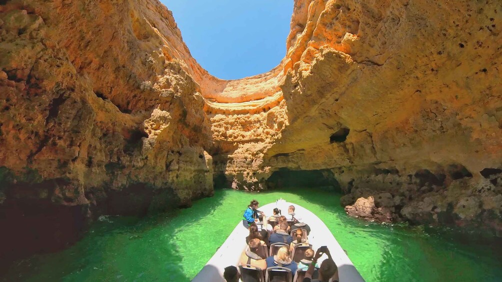 Picture 4 for Activity Albufeira: Benagil Cave and Dolphin Sightseeing Boat Cruise