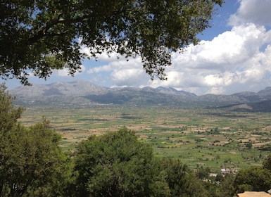 Creta: Tour di un giorno dell'altopiano di Lasithi e del Palazzo di Cnosso