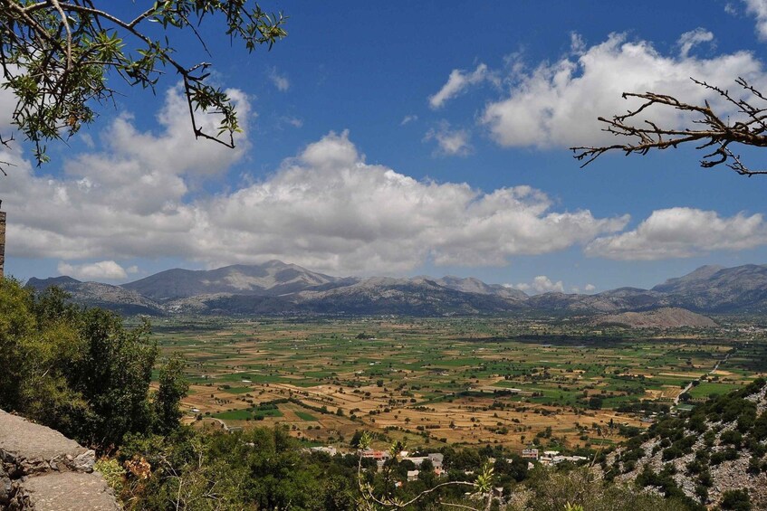 Picture 1 for Activity Crete: Lasithi Plateau and Knossos Palace Day Tour