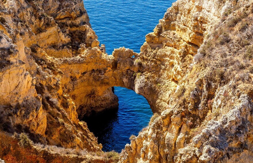 Picture 5 for Activity From Lagos: Cruise to the Caves of Ponta da Piedade