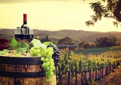 Från Córdoba: Minivanresa till vingården Ronda med vinprovning