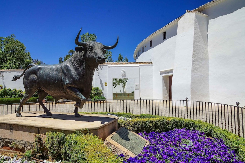 Picture 9 for Activity From Córdoba: Ronda Winery Minivan Trip with Wine Tasting